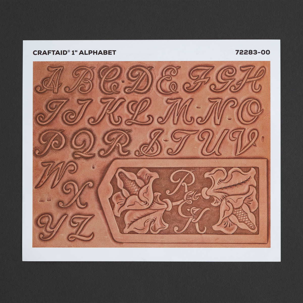 Tandy Leather 1 inch (25 mm) Alphabet Craftaid 72283-00